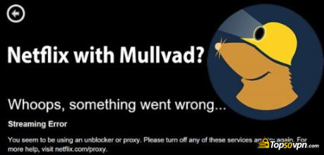 Mullvad review: Netflix.