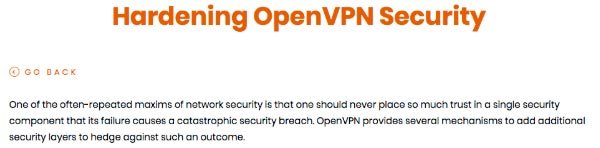 OpenVPN review: security.