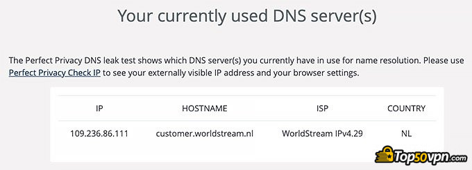 Surfshark review: DNS leak test.