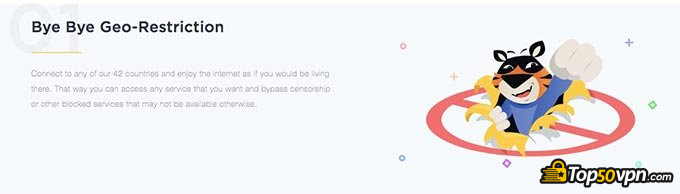 TigerVPN review: geo-restrictions.