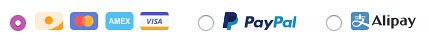 VyprVPN review: payment method.