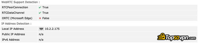 VyprVPN review: WebRTC leak test.